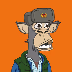 Polygon Ape #9801