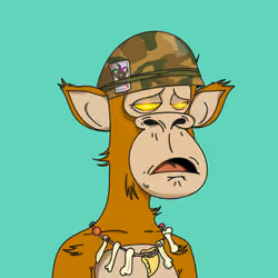 Polygon Ape #9338