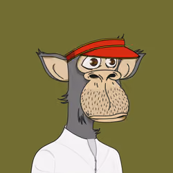 Polygon Ape #4735