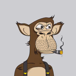 Polygon Ape #9123