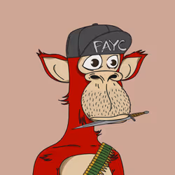 Polygon Ape #9202