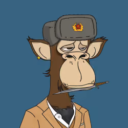 Polygon Ape #9737