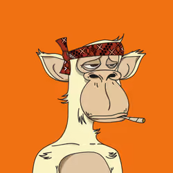 Polygon Ape #1656