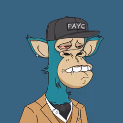 Polygon Ape #6732