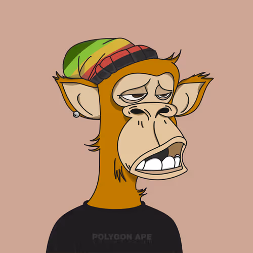 Polygonapetheevolution