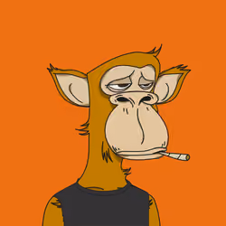 Polygon Ape #8062