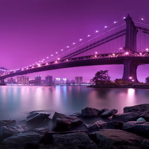 Tokenized Dreams