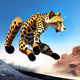 Fast cheetah #2