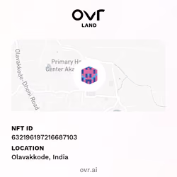OVRLand #632196197216687103 - Olavakkode, India