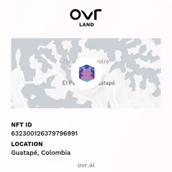 OVRLand #632300126379796991 - Guatapé, Colombia