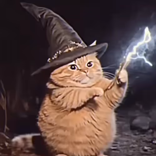 Meme Wizard Cat