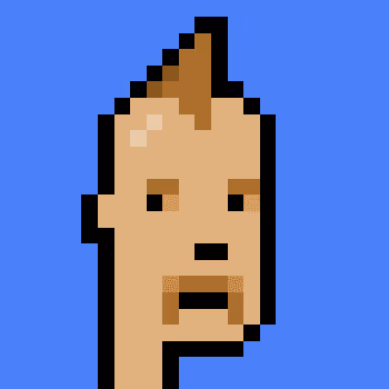 Polygonpunks