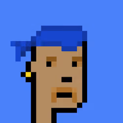 Punk #3378
