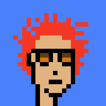 Punk #9543