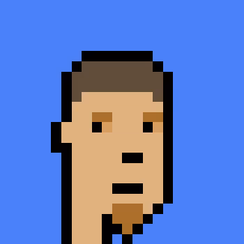 Polygonpunks