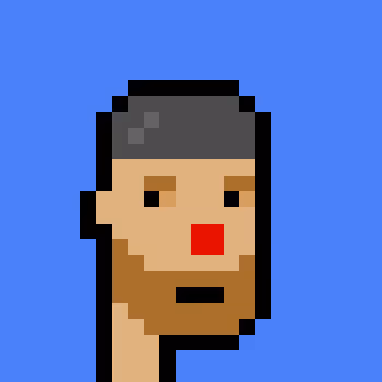 Punk #8081