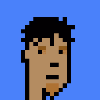 Polygonpunks