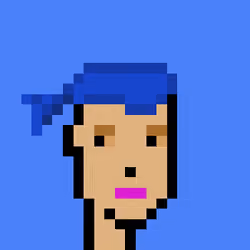 Punk #1217