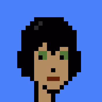 Punk #5843