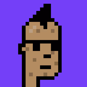 Polygonpunks