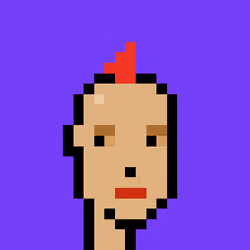 Punk #988