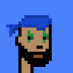 Punk #5537
