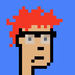 Punk #6066