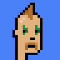 Punk #9336
