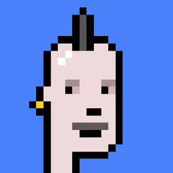 Punk #9862