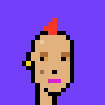 Polygonpunks