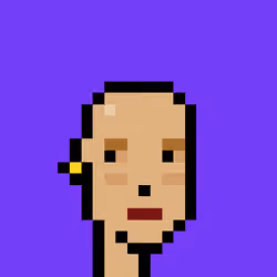 Punk #8263