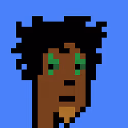 Punk #3244