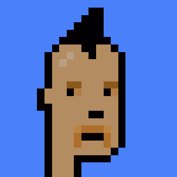 Polygonpunks