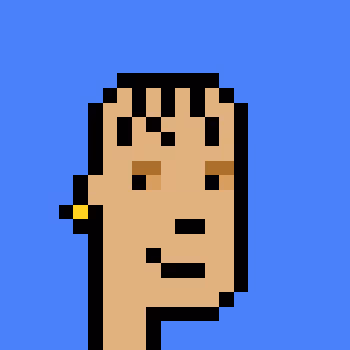 Polygonpunks