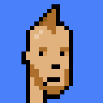 Polygonpunks
