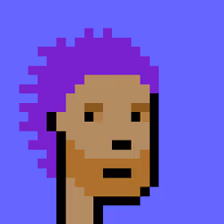 Punk #1262