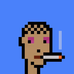 Punk #9307