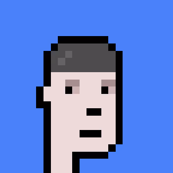 Polygonpunks