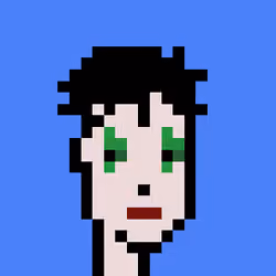 Punk #6004