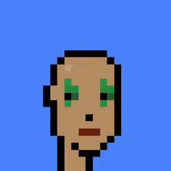 Punk #8639