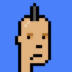 Punk #1133