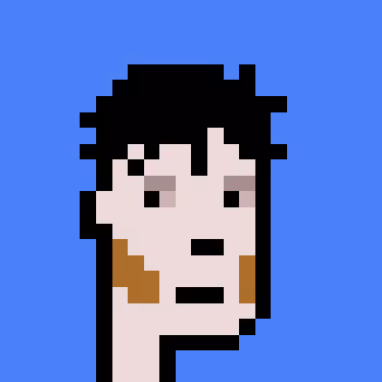 Polygonpunks
