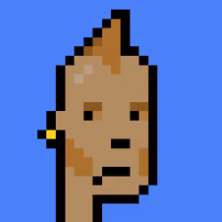 Punk #9110