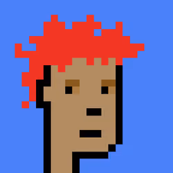 Punk #544