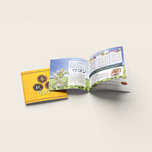 Aodama Ukon Product Catalog Design - Apr. 2009