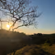 diogor.lens-Collect-1355
