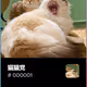 0x962b5d7e9f8e4ca1a01e7dcd137eef174d08cfe4