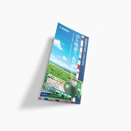 NH JAPAN Exclusive Korean Agricultural Gift Brochure - Jun. 2012