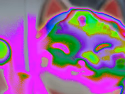 Item Media