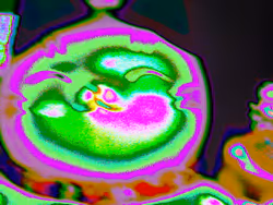 Item Media
